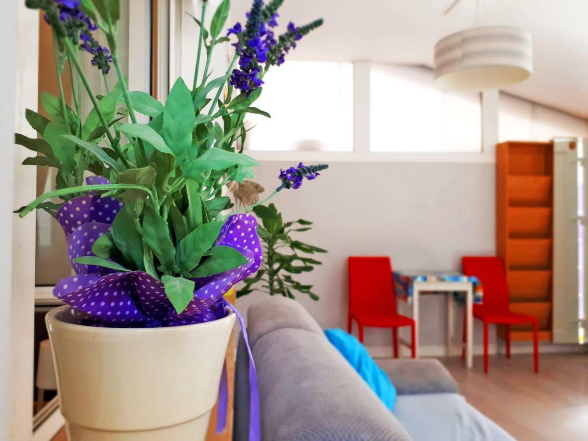Apartment Matej Rovinjsko Selo Buitenkant foto